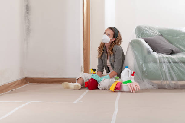 Reliable Mold Remediation contractor in South Plainfield, NJ by Cheap Mold Removal
